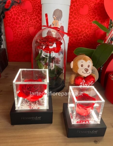 Flowercube