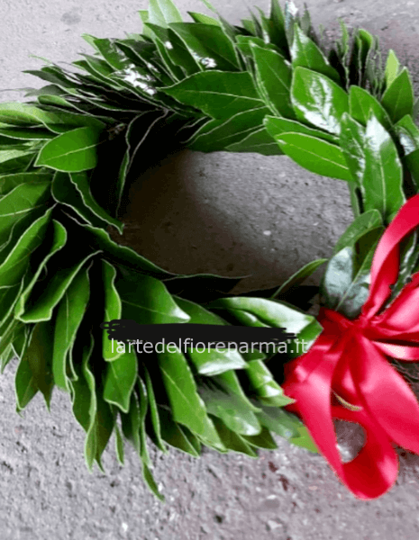 Coroncina laurea semplice